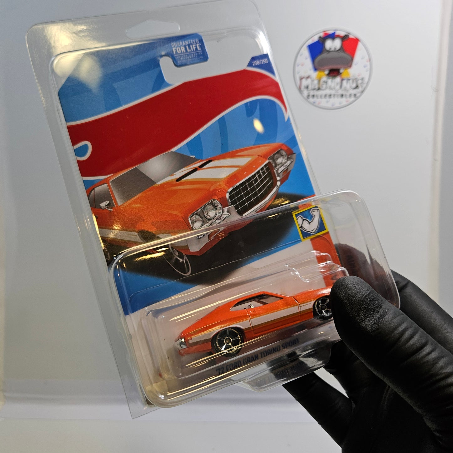 Magnonus Collectibles Coffret de protection Mainline 12 pièces pour Hot Wheels et MATCHBOX