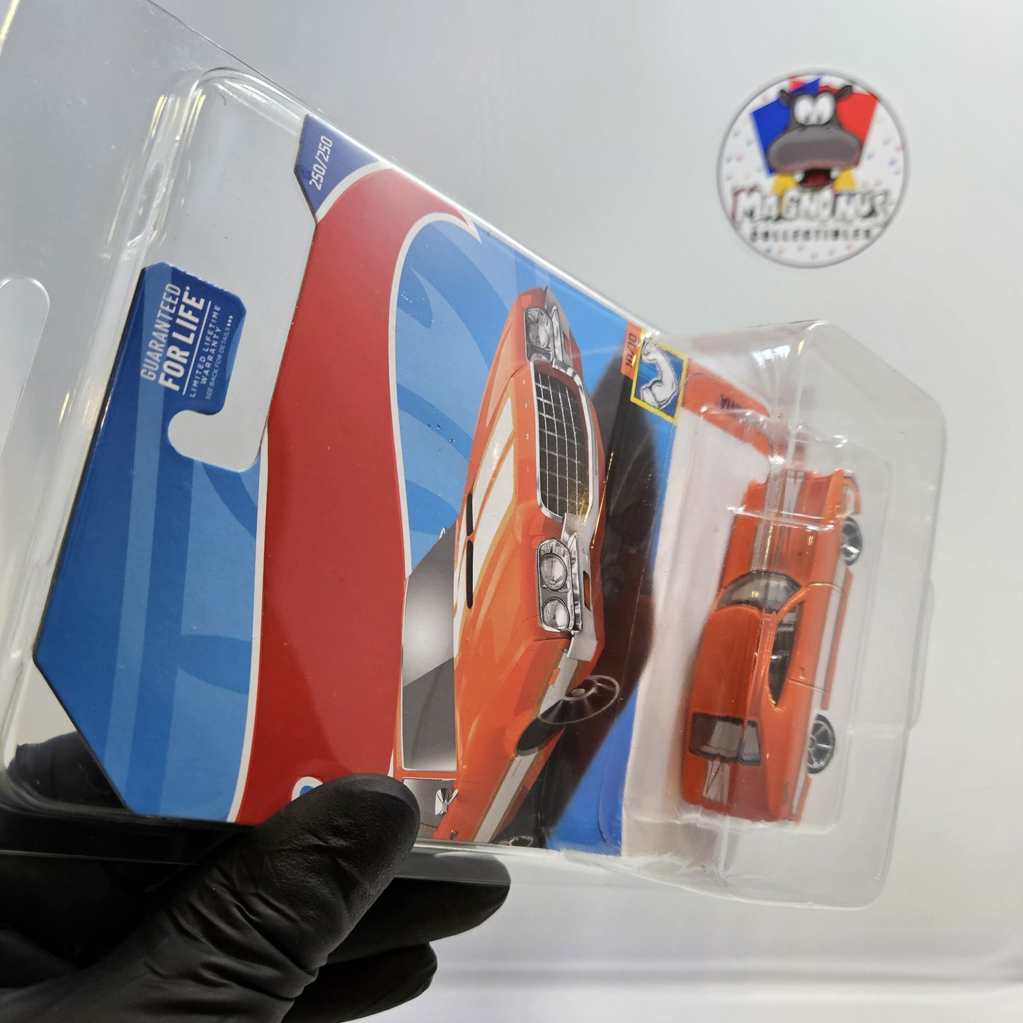 Magnonus Collectibles Coffret de protection Mainline 12 pièces pour Hot Wheels et MATCHBOX
